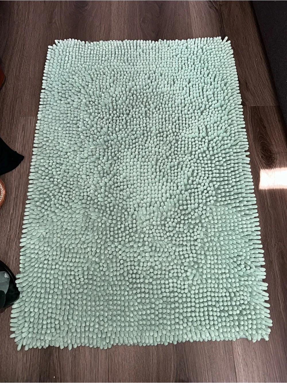 Plush Chenille Bath Mat - Mint
